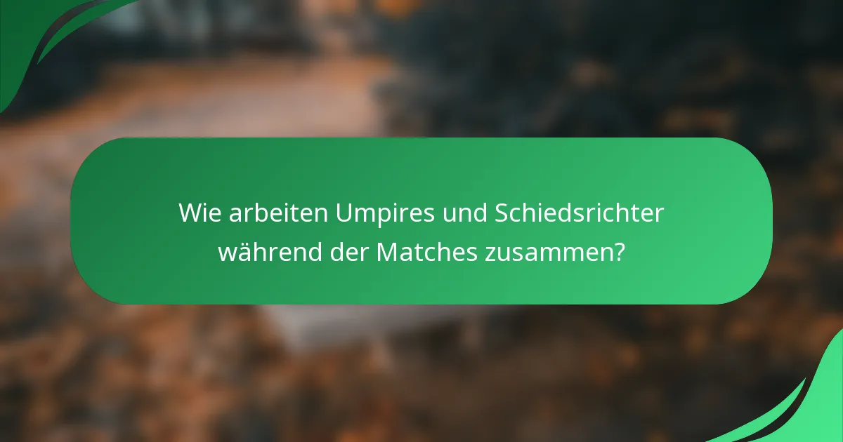 Wie arbeiten Umpires und Schiedsrichter während der Matches zusammen?